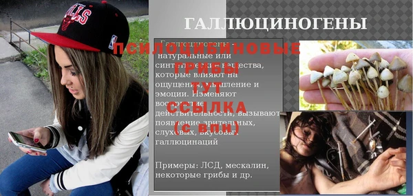 Альфа ПВП Белокуриха