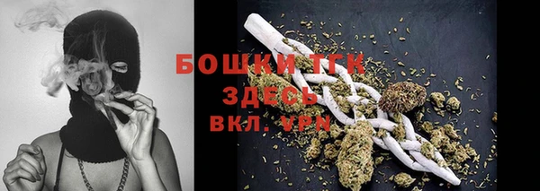Альфа ПВП Белокуриха