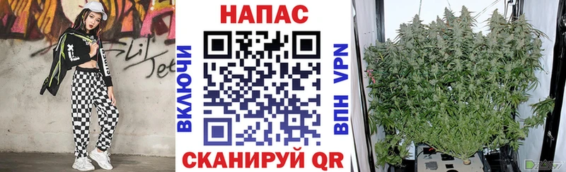 МАРИХУАНА VHQ  наркошоп  Среднеколымск 